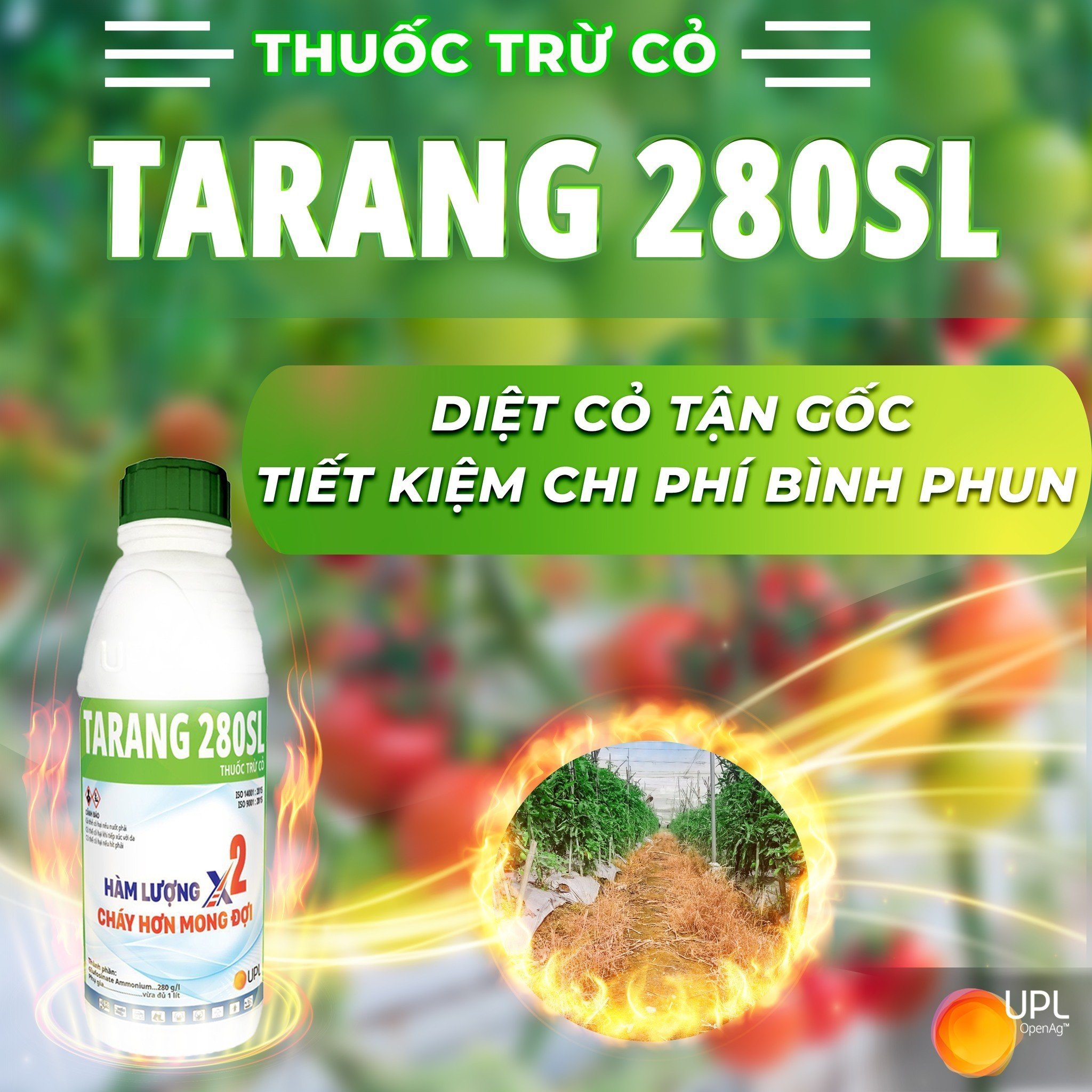 Thuốc trừ cỏ Tarang 280SL - Chai 900ml