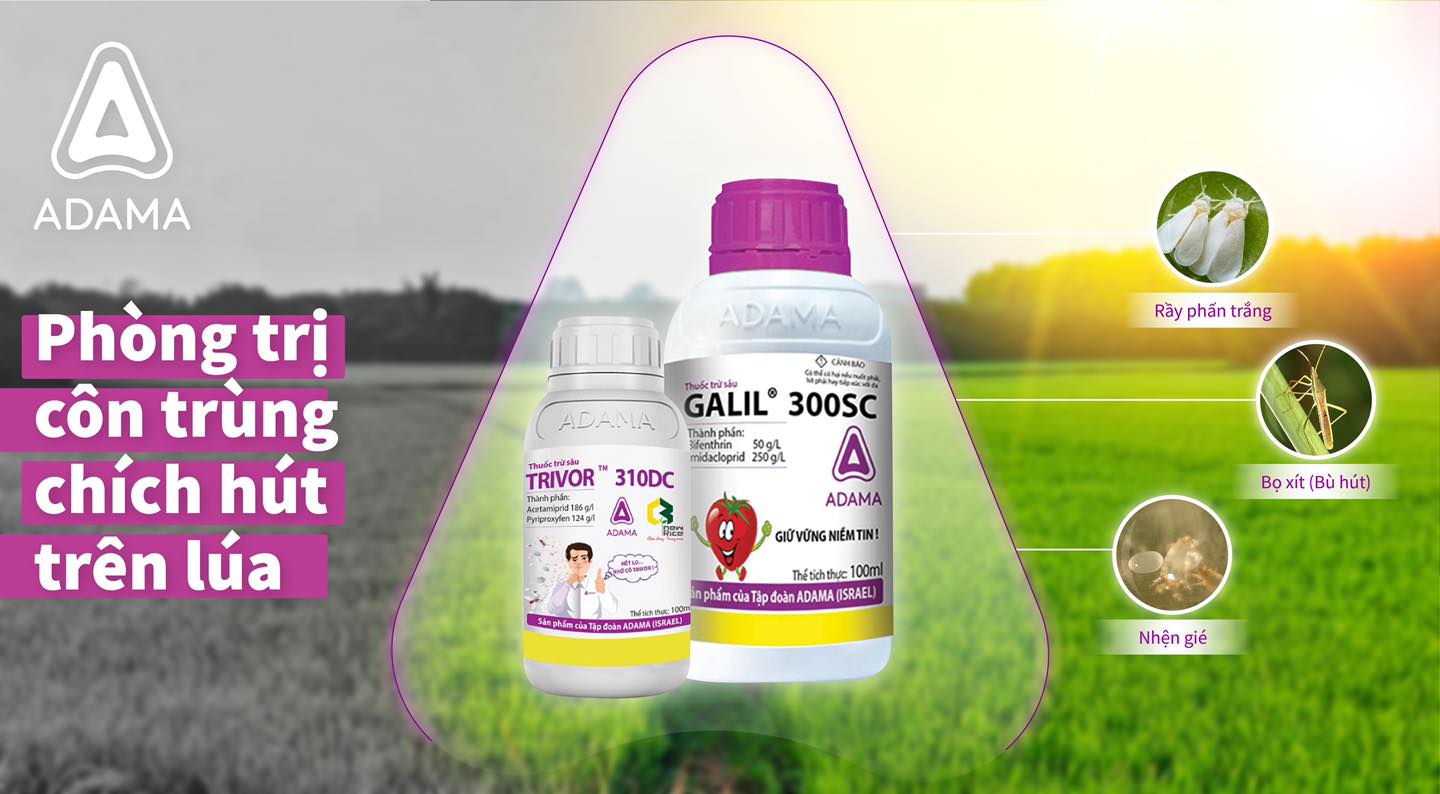 Galil Pad GALIL 300SC - Chai 240ml - Minh Khôi Agro